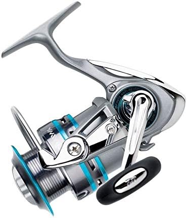daiwa procaster 2000a