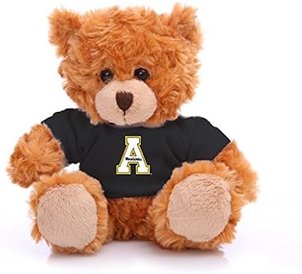 graduation teddy bears bulk