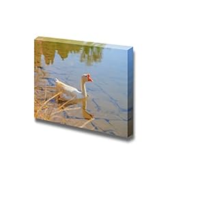 Canvas Prints Wall Art - Geese Swim in The Lake | Modern Wall Decor/Home Decoration Stretched Gallery Canvas Wrap Giclee Print. Ready to Hang - 12" x 18"