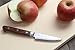 Yoshihiro VG-10 16 Layer Hammered Damascus Stainless Steel Santoku and Paring Knife Set