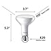 Philips LED BR30 Dimmable 650-Lumen, 5000-Kelvin, 9-Watt (65-Watt Equivalent) Flood Light Bulb with E26 Medium Base, Daylight, 12-Pack