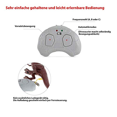 HSP Himoto RC Ferngesteuerter T-Rex Dino Dinosaurier Tyrannosaurus für Kinder mit Sound und Gehfunktion, Komplett-Set… – Bild 8