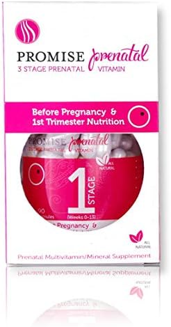 Promise Stage 1 Prenatal Vitamins (60 Count) - Pre-Pregnancy and 1st Trimester Multivitamin Supplement - Natural, Once a Day Pregnancy Nutrition