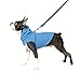 Gooby - Fleece Vest Hoodie, Small Dog Pull Over Hooded Fleece Jacket with Leash Ring, Blue, Small