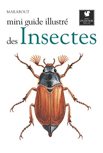 Insectes