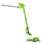 GreenWorks 22242 24V 20-Inch Cordless Pole Hedge Trimmer, 2Ah Battery and Charger Included