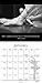 Modern Ballerina 2017 Wall Calendar