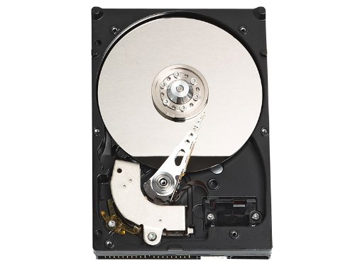 Western Digital WD800JB 80GB 7,200RPM 8MB Buffer
