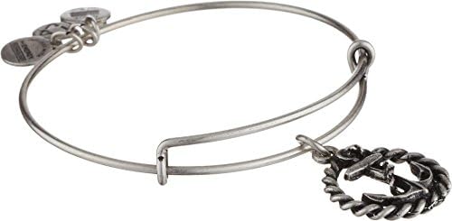 Alex and Ani Womens Nautical Charm Bangle