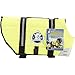 Paws Abroad Dog Life Jacket - Keep Your Canine Safe with a Neoprene Life Vest for Swimming and Boating - Available in Different Sizes, Color and Design to Choose - Neon Yellow - Large