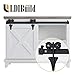 LDI BUILD 3ft Mini Sliding Barn Door Hardware Kit, Unique Design Hanger, Easy installation, Quality Roller, Perfect for Cabinets, TV Stands For 18