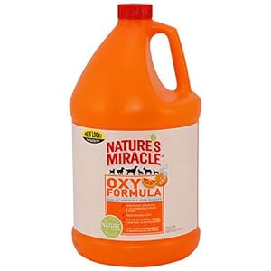 8. Nature's Miracle – Stain & Odor Remover, Orange-Oxy, Trigger Spray