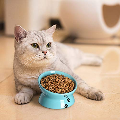 Y YHY Elevated Cat Food Bowl, Ceramic Raised Cat Bowl, Tilt Angle
