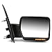 Passenger Right Side Rear View Mirror - Manual Folding | Power Adjustment | Heated Glass | Amber LED Turn Signal | Puddle Light - Compatible with Ford F-150 04-14, Texture Black
