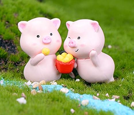buy miniature pig
