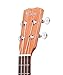 Protege by Cordoba U100CM Concert Ukulele (Amazon Exclusive) (Protégé by Cordoba U100CM)