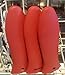 Crucible Cookware Silicone Hot Handle Holders (Red, 2-Pack Large)