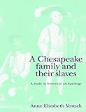 A Chesapeake Family & their Slaves: A Study in Historical Archaeology (New Studies in Archaeology) by Anne Elizabeth Yentsch