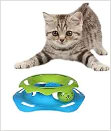 Assessment Chapter and Unit Tests (Glencoe Earth Science