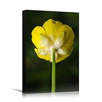 Canvas Wall Art Yellow Petal Closeup Bedroom Colorful Floral Multicolor Petal Photography Romantics - 12x18 inches