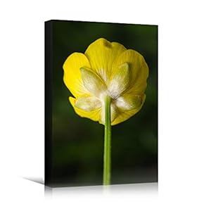 signwin Canvas Wall Art Yellow Petal Closeup Bedroom...