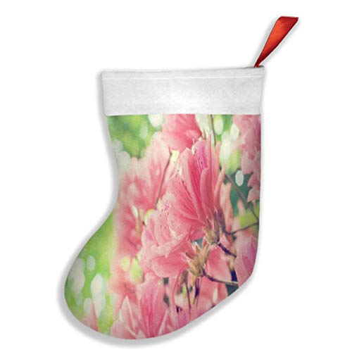 Lovexue Christmas Stockings Hawaiian Flowers Summer Hot Christmas
Decoration Socks