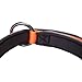 Blueberry Pet 4 Colors Soft & Comfy Summer Hope 3M Reflective Padded Dog Collar with O-Ring, Fluorescent Orange, Medium, Neck 14.5