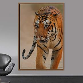 signwin Framed Canvas Wall Art Tiger Animals Chic...