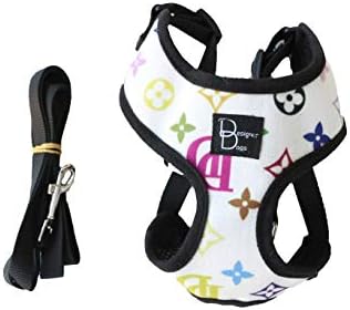 Designer Dogs Custom Adjustable Mesh Harness + Leash | Best Vest Harness for Small/Medium Breed Dogs