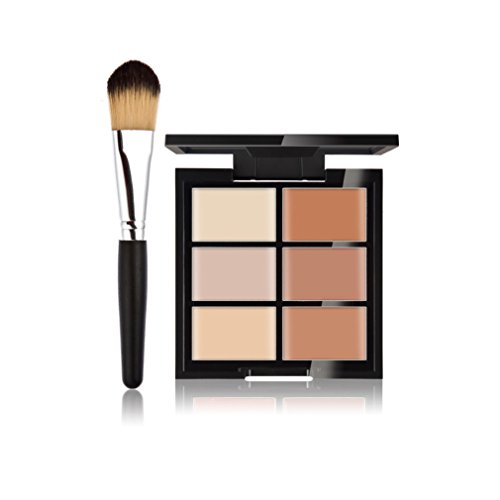 FantasyDay 6 Colors Cosmetics Cream Contour and Highlighting Makeup Kit - Contouring Foundation/Concealer Palette + 1 Pc Beauty Foundation Blending Blush Face Powder Brush Makeup Brush Kit #2