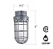 Lithonia Lighting Jelly Jar Light Fixture, Incandescent Utility Vapor Tight Ceiling Lamp, Industrial Style Wall Light for Indoor and Outdoor Use, 150W, 120V, Includes Junction Box, Grey (VC150I M12)