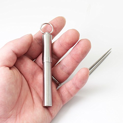 PPFISH Pocket Toothpick Holder Keychain - Waterproof Stainless Steel Toothpick Box Container & 2 Titanium Toothpick Ultralight Travel Kits