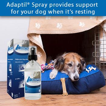 adaptil spray amazon