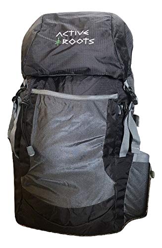 active roots foldable daypack