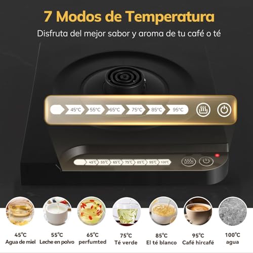 Tetera Eléctrica de Acero Inoxidable 304 con Cuello de Cisne,Electrica de 7 Modos de Temperatura,Hervidor de Agua Eléctrico con Apagado Automático,1000W Calentamiento Rápido,1 L para Preparar Café,Té