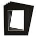 Golden State Art, Pack of 5 Black Pre-Cut 16x20 Picture Mat for 11x14 Photo with White Core Bevel Cut Mattes Sets. Includes 5 High Premier Acid Free Mats & 5 Backing Board & 5 Clear Bag