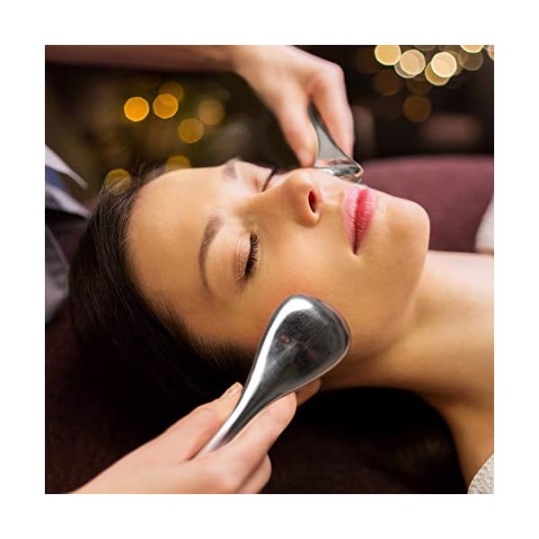 Ice-Globes-Facial-Skin-Care-Tools-for-Women-Face-Eyes-Stainless-Steel-Face-Beauty-Cryo-Sticks-for-Girls-Ladies-Cooling-Massage-Spa-Globes-with-Storage-Case Pfefe Ice Globes Facial Skin Care Tools for Women Face Eyes, Stainless Steel Face Beauty Cryo Sticks for Girls Ladies…