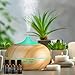 VicTsing 300ml Aroma Essential Oil Diffuser, Wood Grain Ultrasonic Cool Mist Humidifier for Office Home Bedroom Living Room Study Yoga Spa