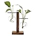 Water Planting Glass Vase,Clear Glass Vase Hanging Plant Terrarium with Retro Solid Wooden Stand for Hydroponics Plants Home Garden