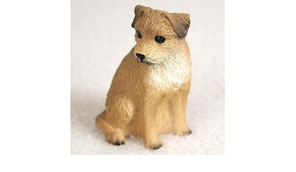 miniature border terrier