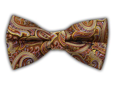 THE TIE BAR 100% SILK BROWN, LAVENDER AND RUST HENDRIX PAISLEY SELF-TIE BOW TIE