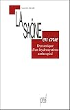 La SaÃ´ne en crue (French Edition) by 