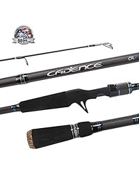 CADENCE CR7B   Cañas de pesca de acción rápida, súper ligeras, sensibles, portátiles, de 40 toneladas, de carbono, para carrete Fuji, de acero inoxidable, con insertos SiC