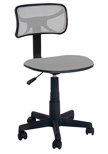 Urban Shop Swivel Mesh Task Chair, Silver - //medicalbooks.filipinodoctors.org