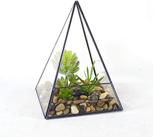 多面体ガラスディスプレーケース ピラミッド垂直金属ガラスの幾何学テラリウムのための家や結婚式 屋内と屋外の装飾14x14x18 5cm 多肉植物 コケ エアプランツ Color Clear Size 14x14x18 5cm Laurelindia Net