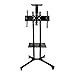 Witlucky Mobile TV Cart Rolling TV Stand for 32