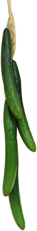 Artificial Vegetable,Artificial Fruit Foam Vegetable Corn Pepper Garlic Hanging Photo Prop Home Decor
