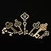 KINGSO 49pcs Antique Vintage Bronze Skeleton Key Charms Set DIY Necklace Pendant Jewelry Making Supplies