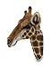 Zeckos Giraffe Bust Exotic Trophy Head Wall Hanging Sculpture