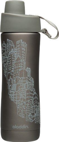 Aladdin Twist & Sip Vacuum Water Bottle 16oz, Cityscape